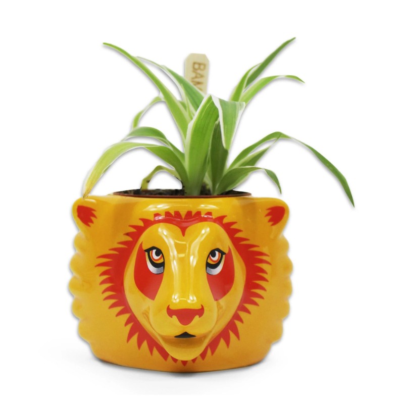 Half Moon Bay - Harry Potter- Plant Pot - Gryffindor